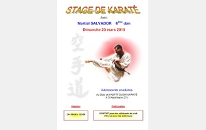 Stage de Karaté du 22 mars 2015
