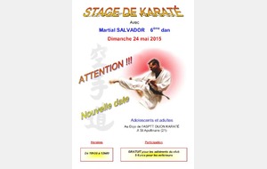 Stage de Karaté du 24 mai 2015