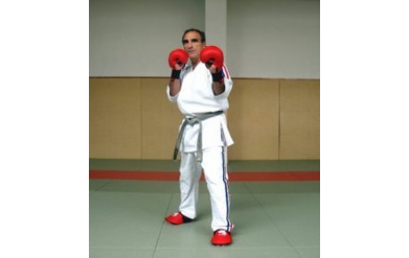 Stage avec DOMINIQUE VALERA