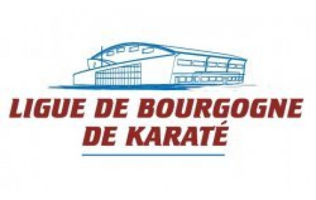 CR Assemblée Générale de la Ligue du 3/10/2010