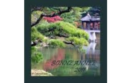 BONNE ANNEE 2011