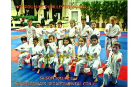 Championnats de Côte d'Or 12 et 13 janvier 2013