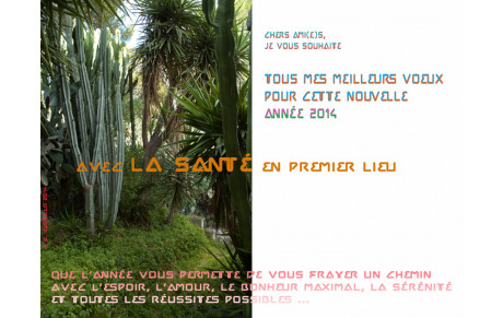 Bonne année 2014 !