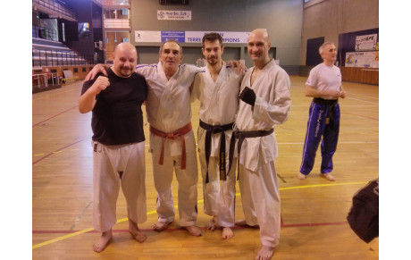 Stage karaté contact