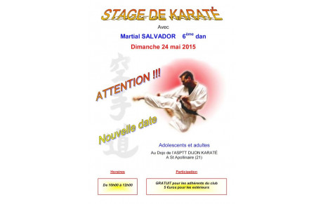 Stage de Karaté du 24 mai 2015